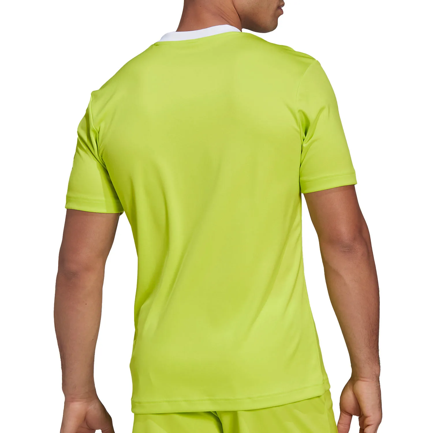 Adidas Entrada 22 Tee