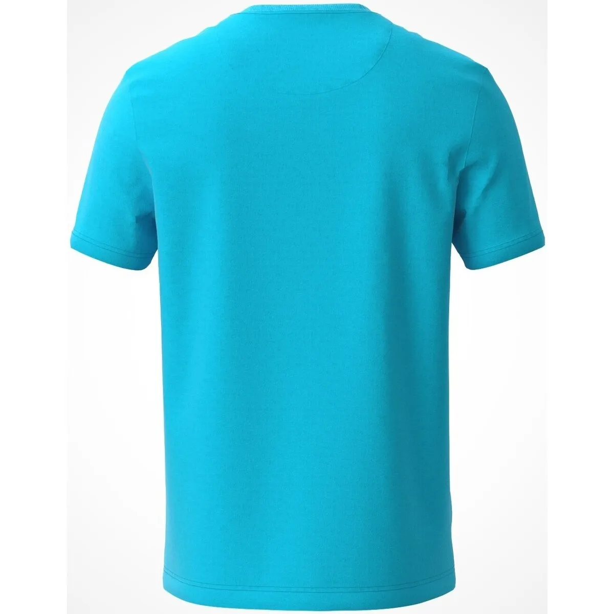 Plain V-Neck Men's T-Shirt