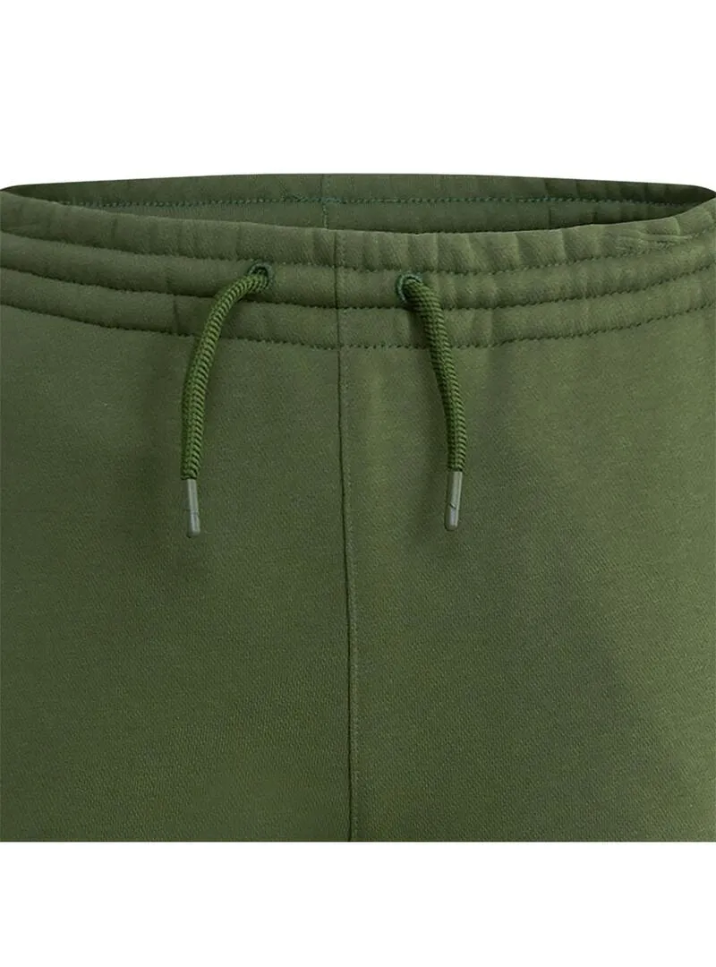 Jordan F7 Verde Kids Pants