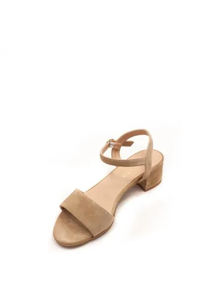 Tiziana taupe suede heel sandal